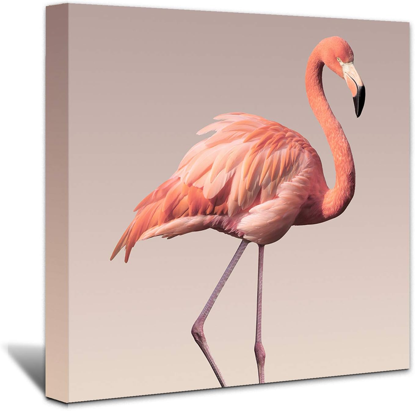 Brusheslife Flamingo Canvas Prints Wall Art - Framed Picture Painting for Home Decoration for Mom and Kids