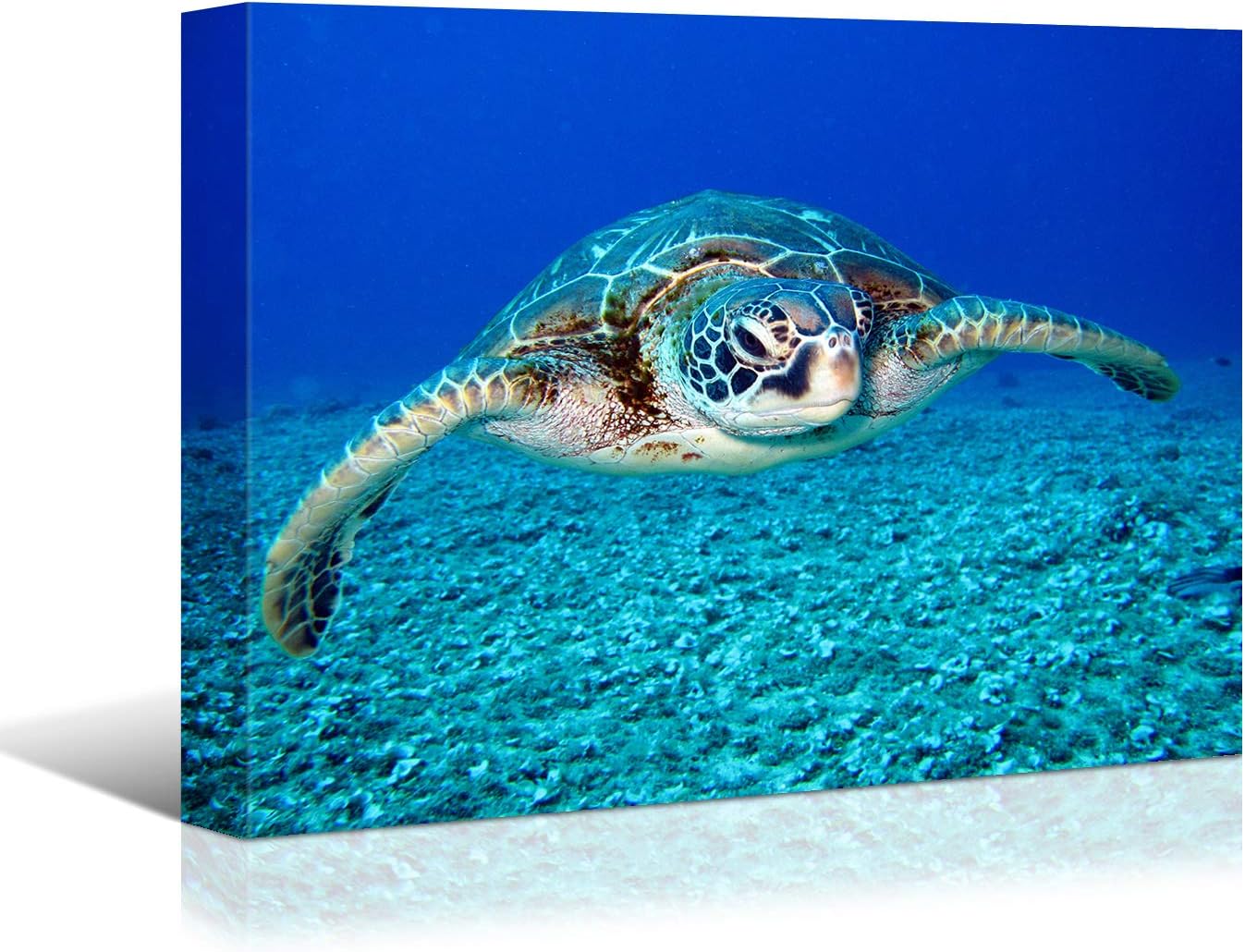 Brusheslife Animal Canvas Art: Marines Turtle - Motivational Wall Decor for Office & Home, Ready to Hang