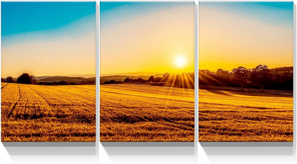 Brusheslife Wall Decor: Serene Sunset over Paddy Fields Canvas Set