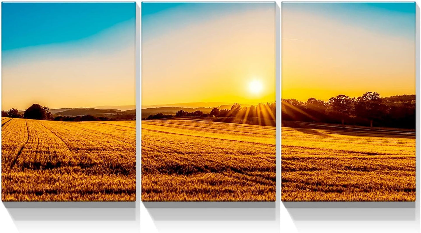 Brusheslife Sunset Wall Art - Glorious Golden Paddy Field Canvas for Home Decor