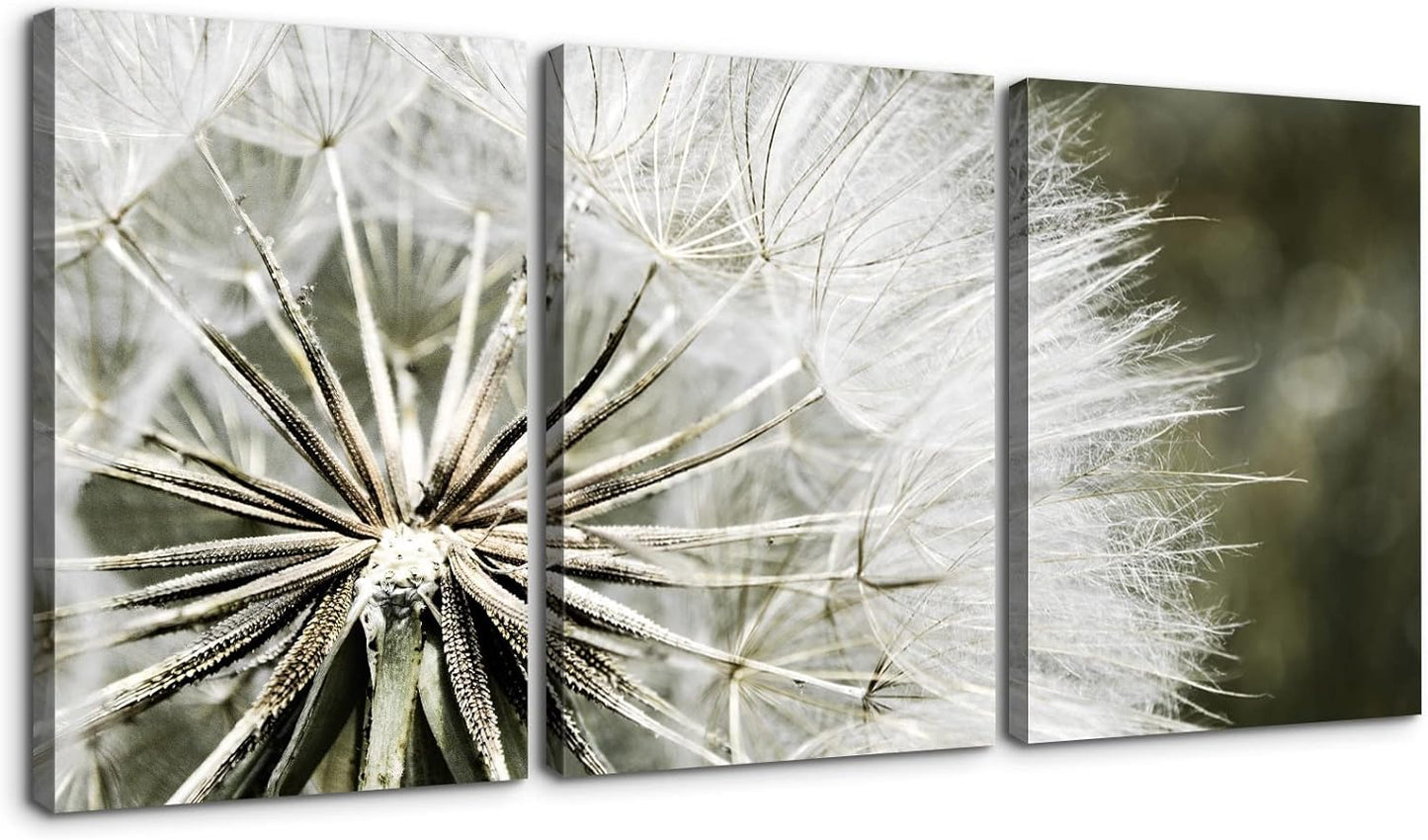 Brusheslife Dandelion Canvas Wall Art - 3 Panel Home Decor for a Touch of Nature's Elegance