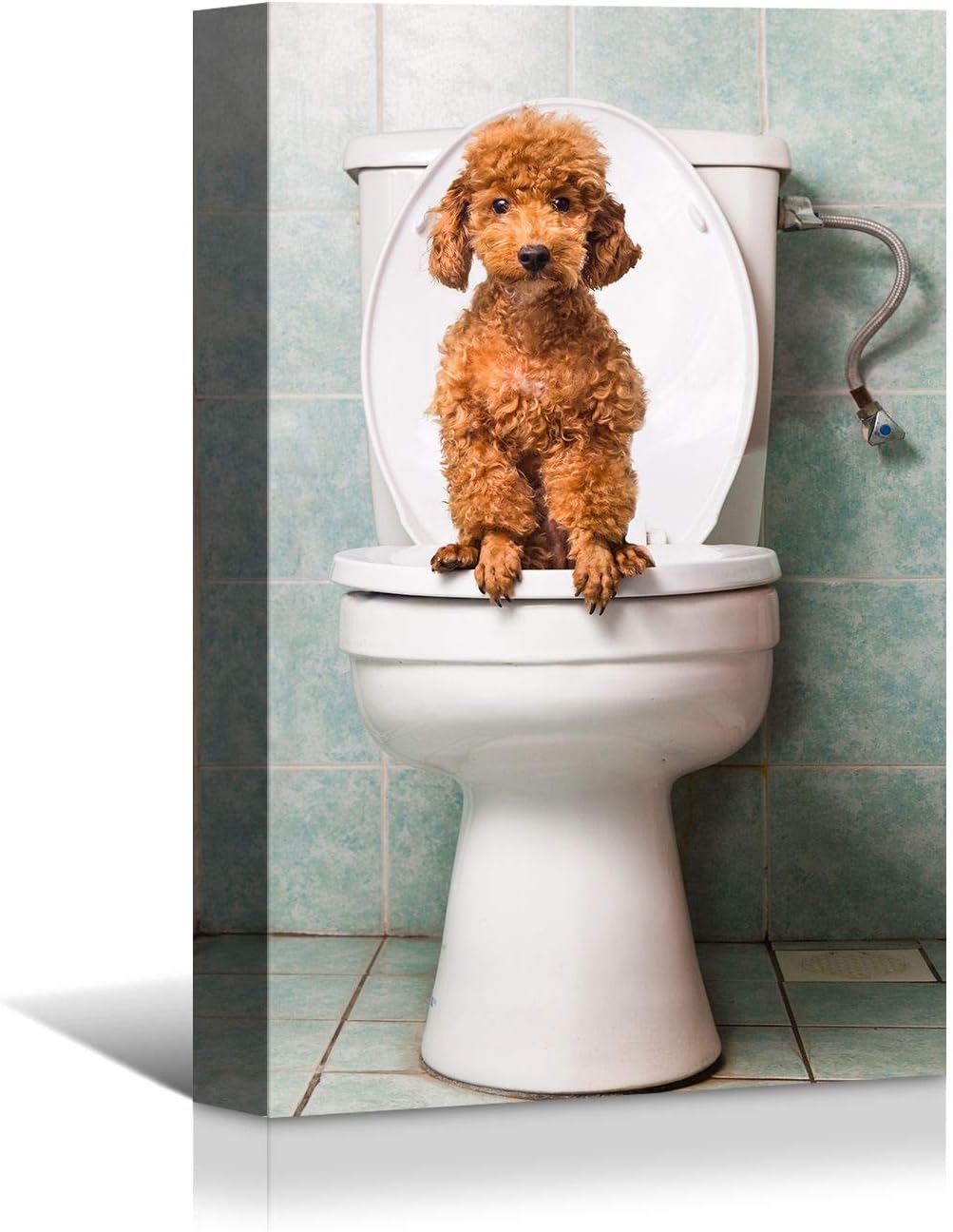 Brusheslife Bathroom Wall Art - Humorous Dog on Toilet Portrait for Home Decor