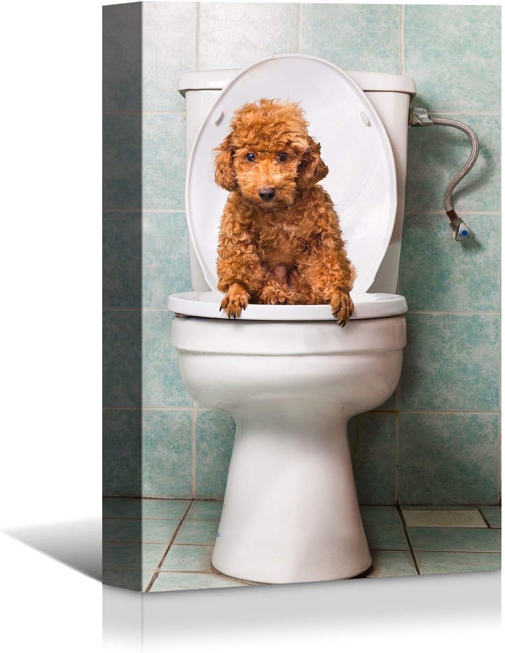 Brusheslife Bathroom Wall Art - Humorous Dog on Toilet Portrait for Home Decor