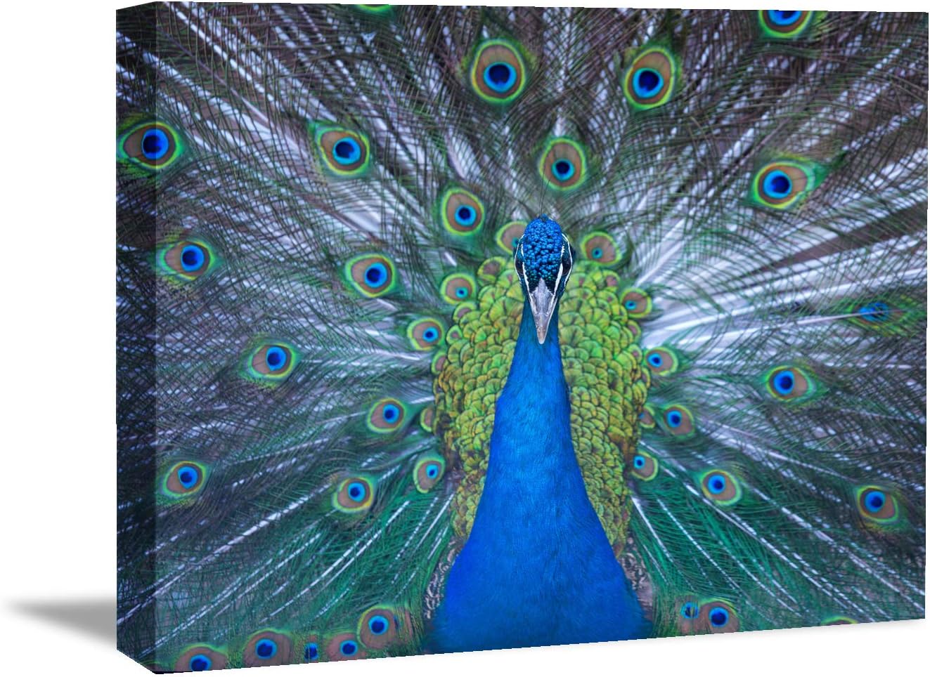 Brusheslife Peacock Canvas Art: Single Panel Wall Decor for Living Room