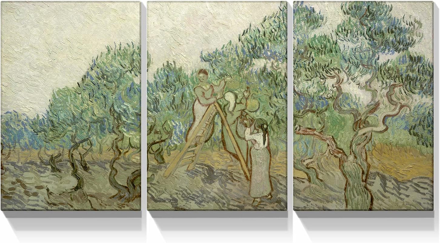 Brusheslife Van Gogh Inspired Wall Art - Gallery Wrapped Triptych of Botanical Paintings for Room Decor